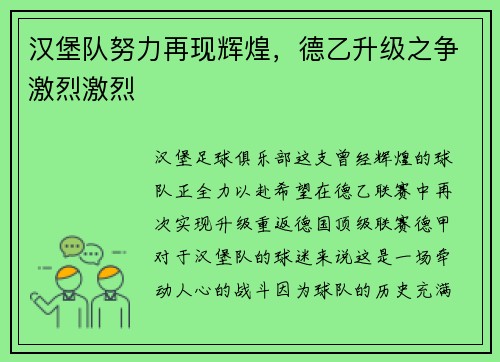 汉堡队努力再现辉煌，德乙升级之争激烈激烈